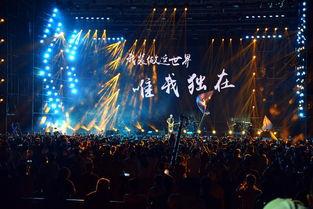 邯郸音乐节最新爆料信息,璀璨星光，音乐狂欢即将启幕！